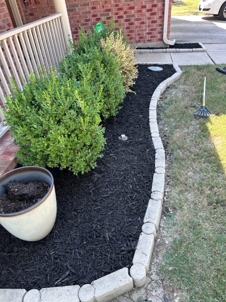 Garden Area Garden area with neatly trimmed bushes, black mulch, and a potted plant.